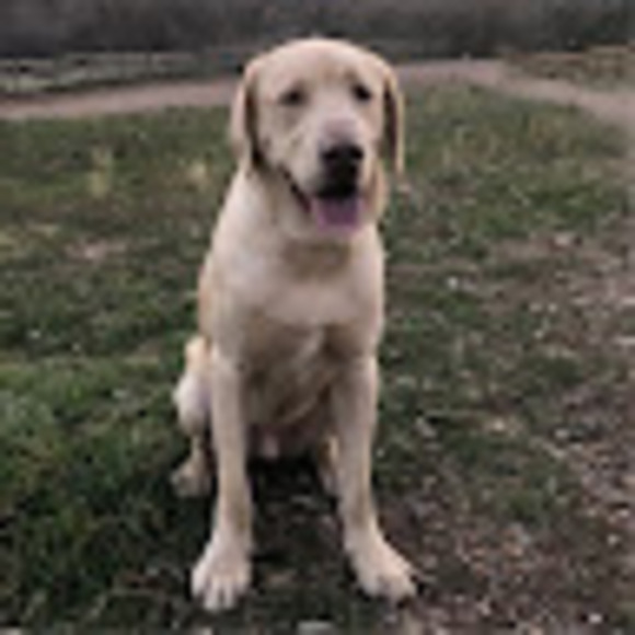 cdill363